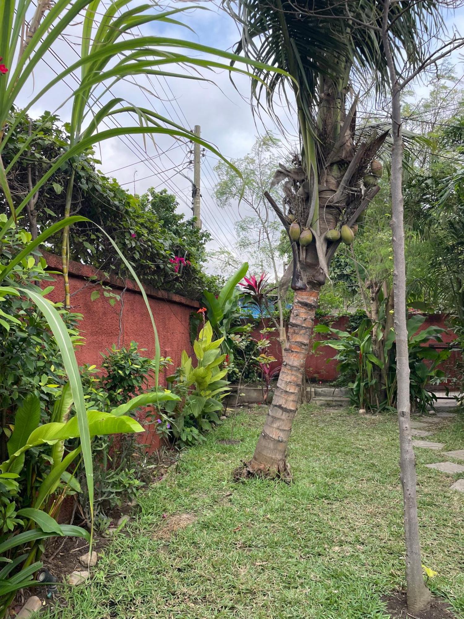 Hechtech House Leilighet Accra Eksteriør bilde